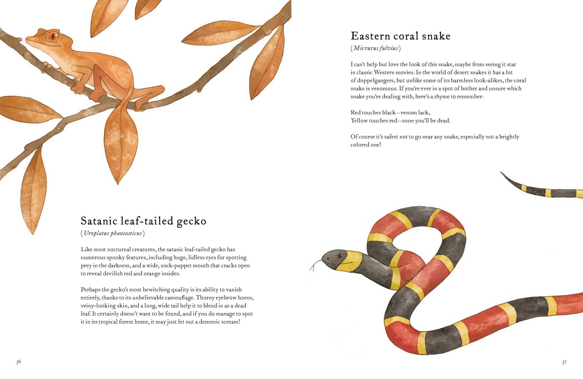 The Colorful World of Reptiles