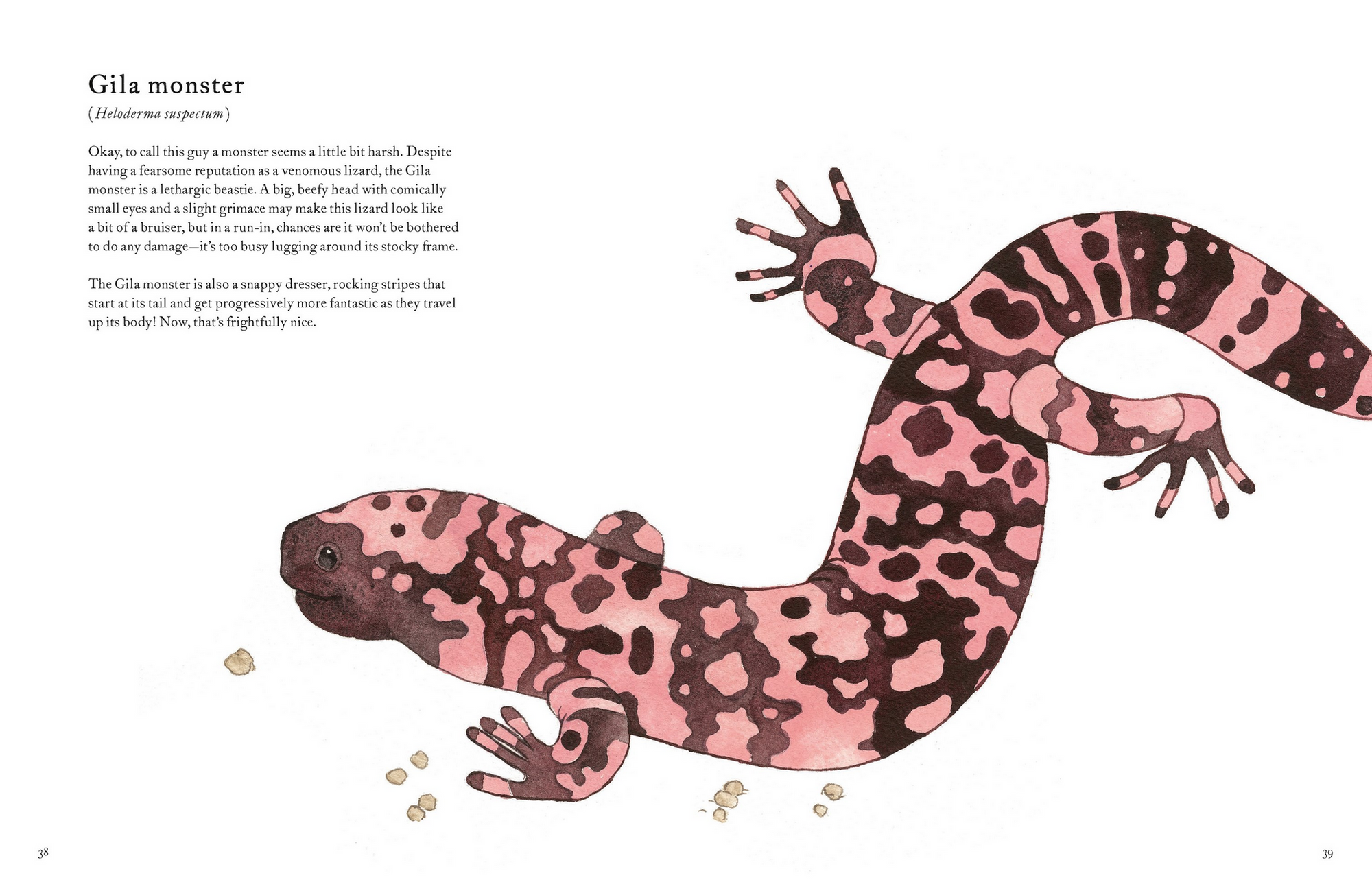 The Colorful World of Reptiles