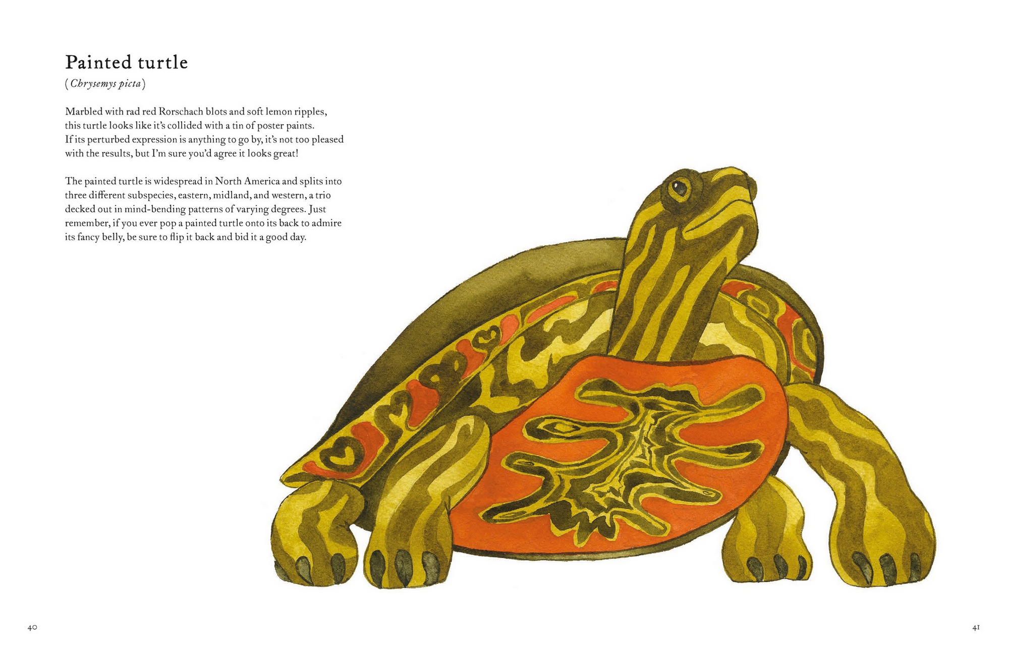 The Colorful World of Reptiles