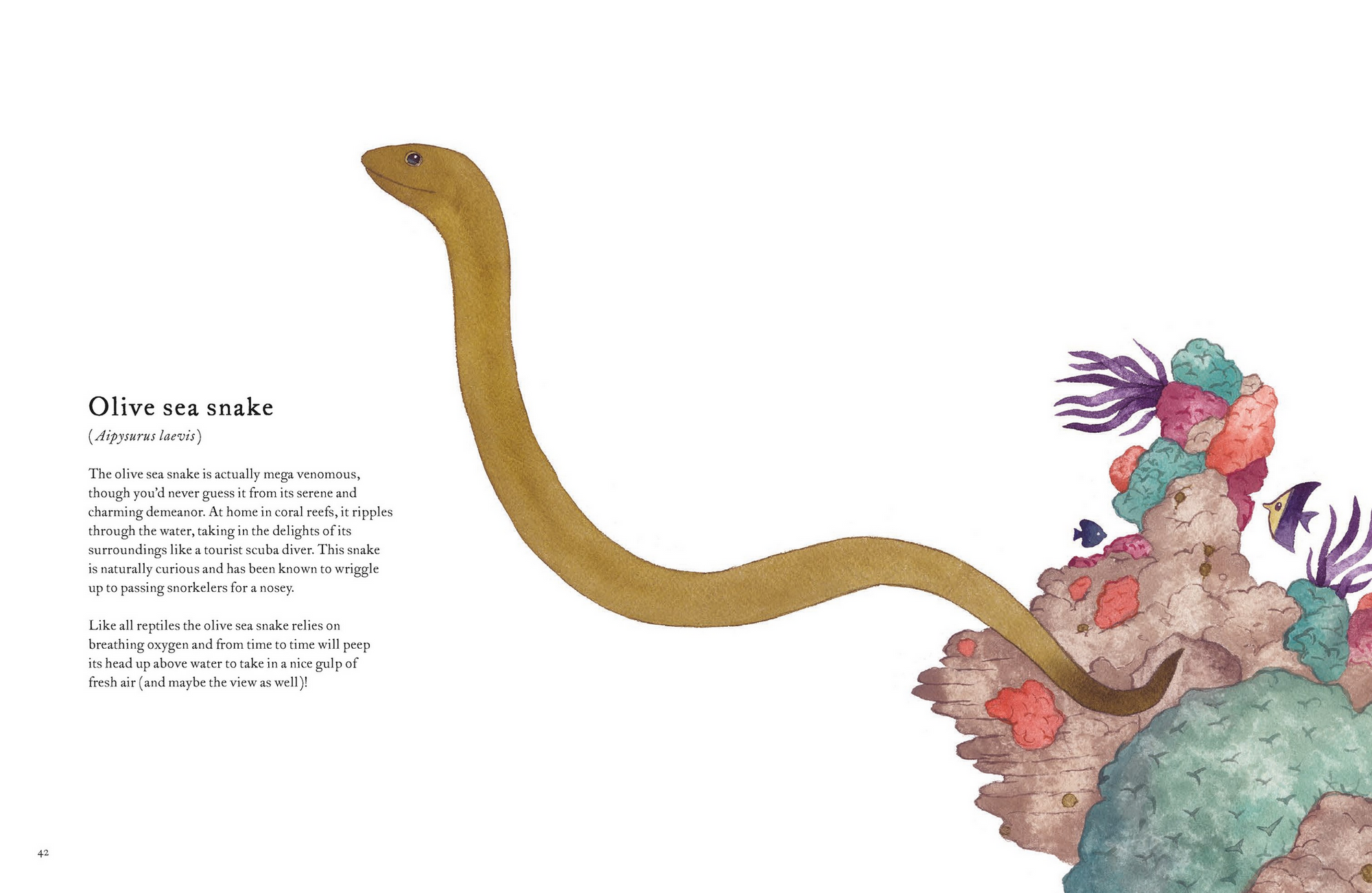The Colorful World of Reptiles