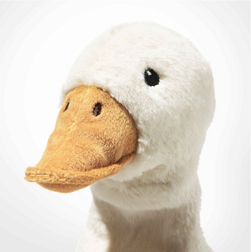 Close-up of a plush duck toy with a white background