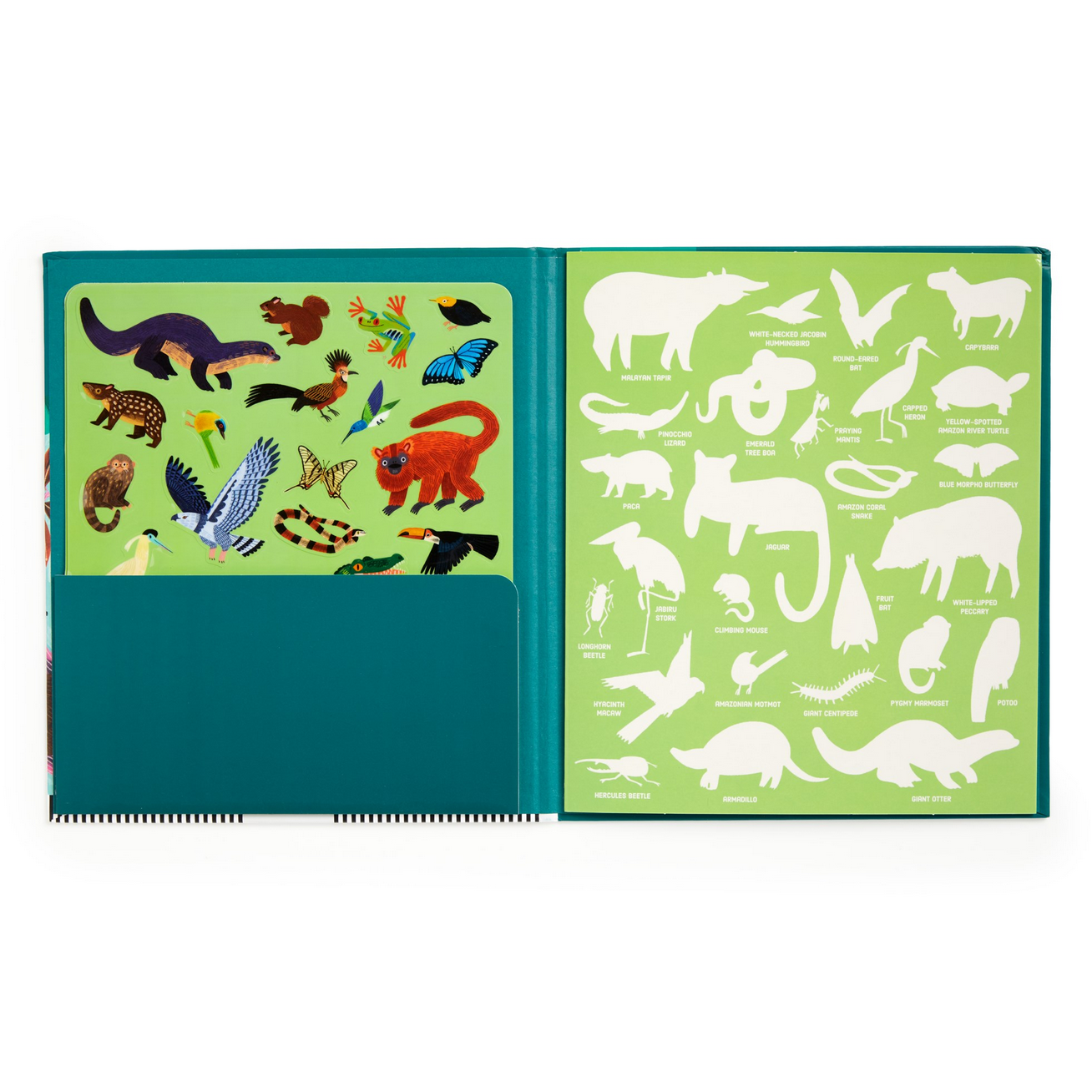 Open book with animal illustrations on green pages