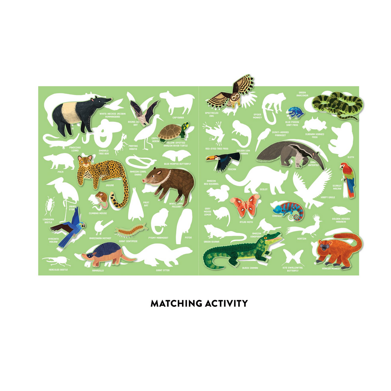 Educational matching activity sheet with various animals on a green background