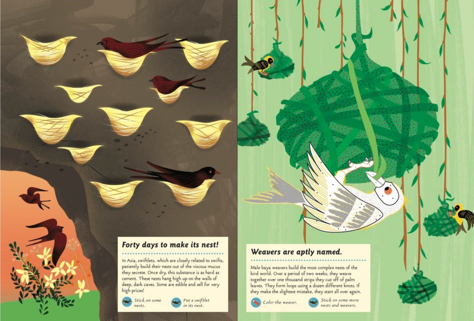 Illustrated book pages showing birds and nests with text about weaver birds.