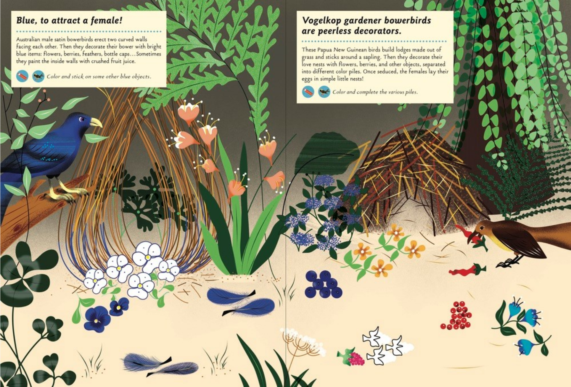Illustration of Vogelkop gardener bowlerbirds with nests and flowers on a nature-themed background.