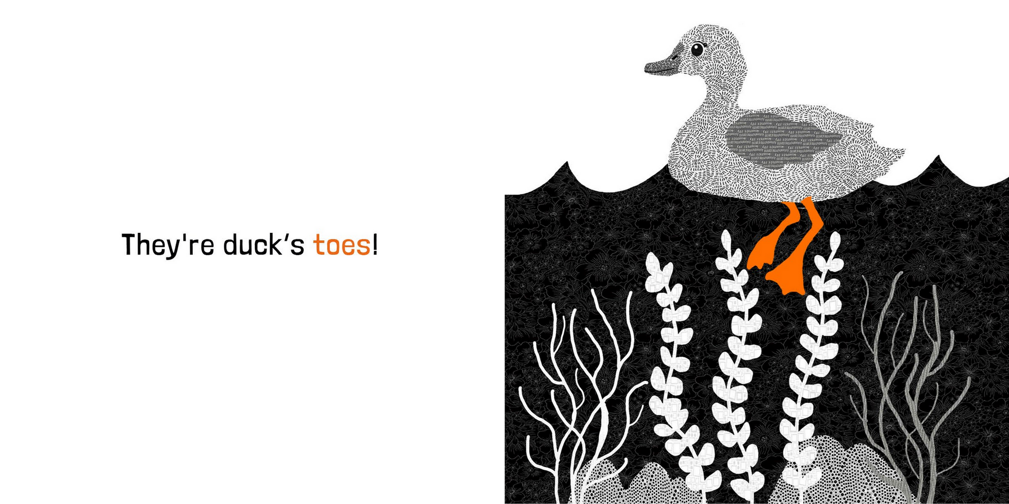 Illustration of a duck with text 'They're ducks toes!' on a white background