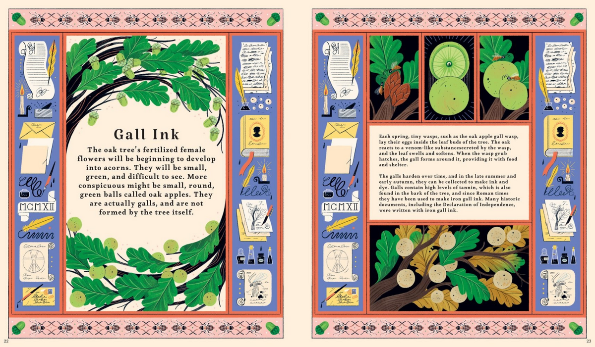 Illustrated book pages with text and graphics on a blue background