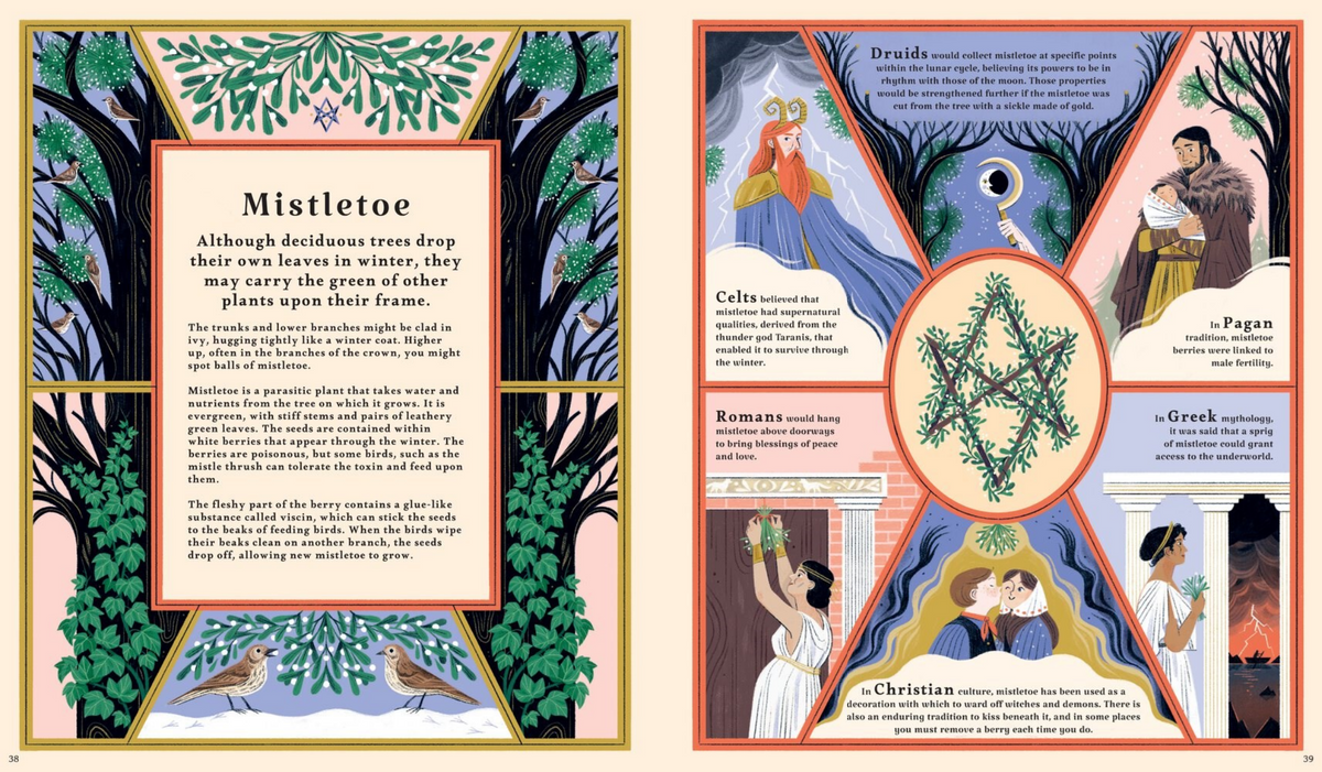 Illustrated book page about mistletoe with historical and cultural information.