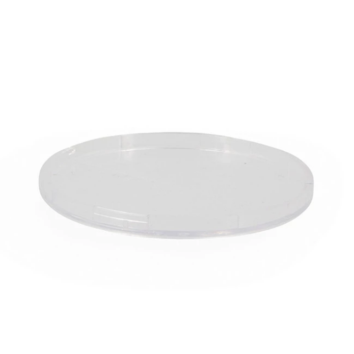 clear plate on a white background