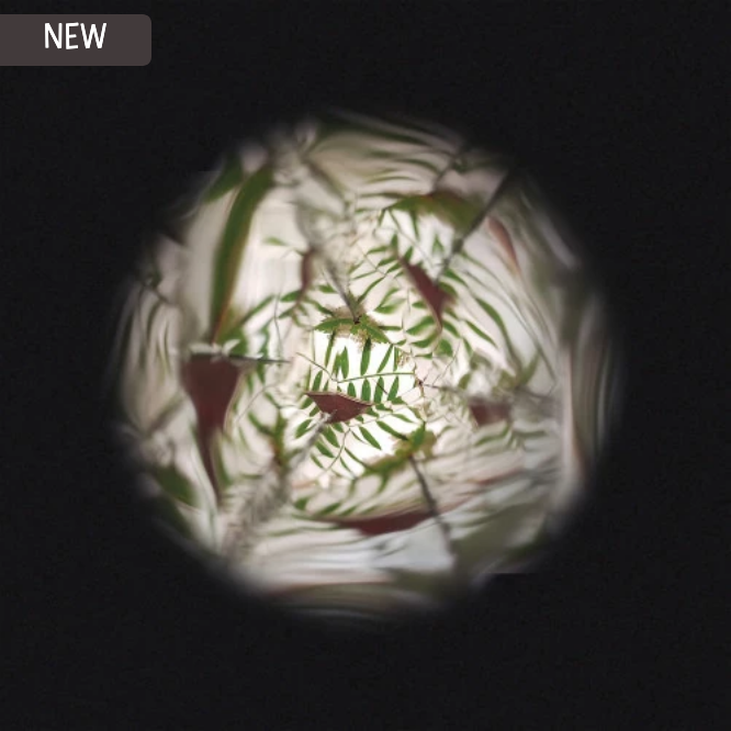 View through a circular lens looking up at green leaves and branches against a dark background
