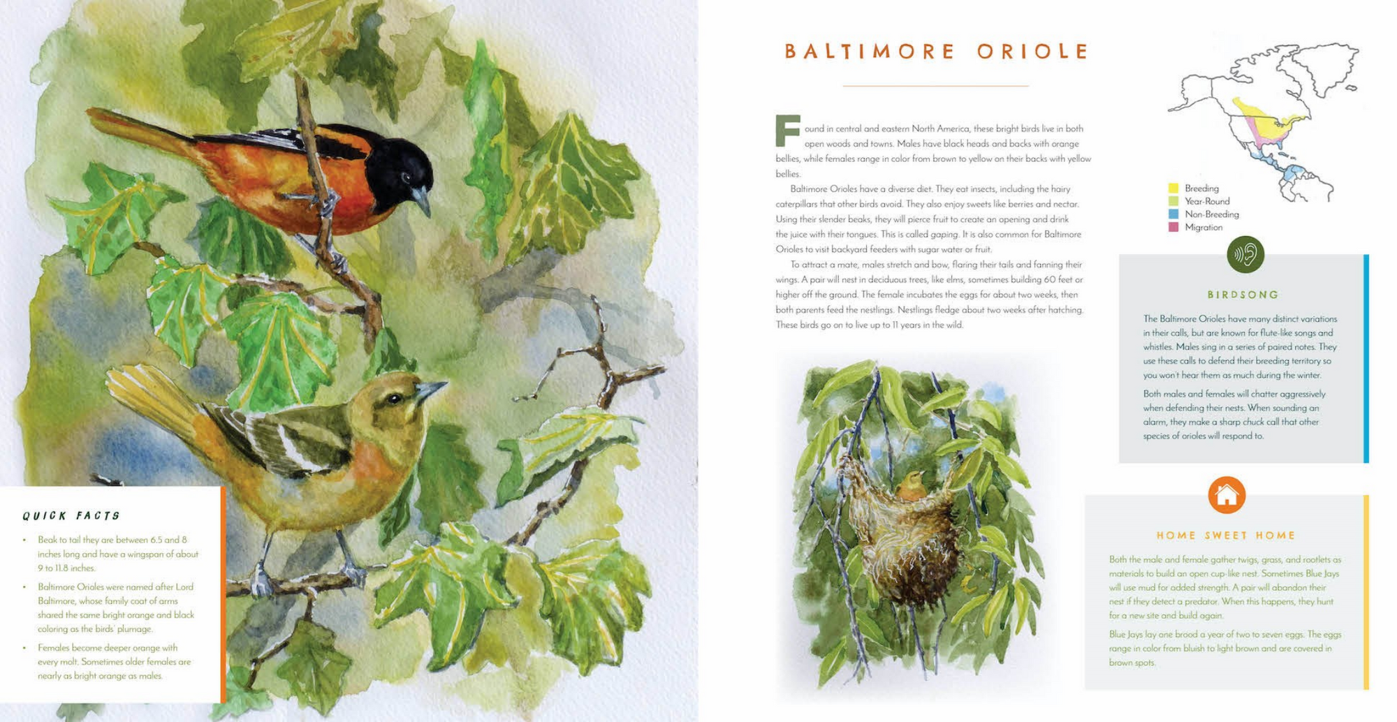 Hear Them Sing: A Kid's Book of North American Bird Songs and Calls