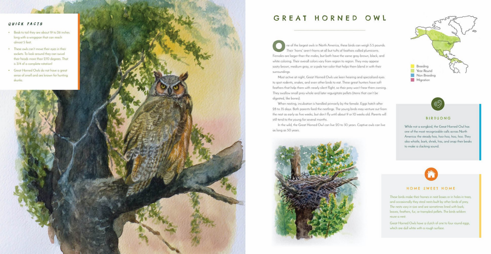 Hear Them Sing: A Kid's Book of North American Bird Songs and Calls