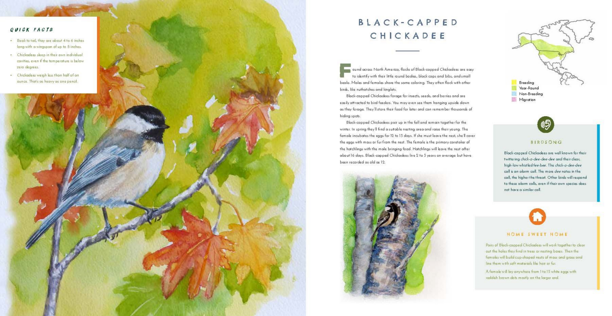 Hear Them Sing: A Kid's Book of North American Bird Songs and Calls