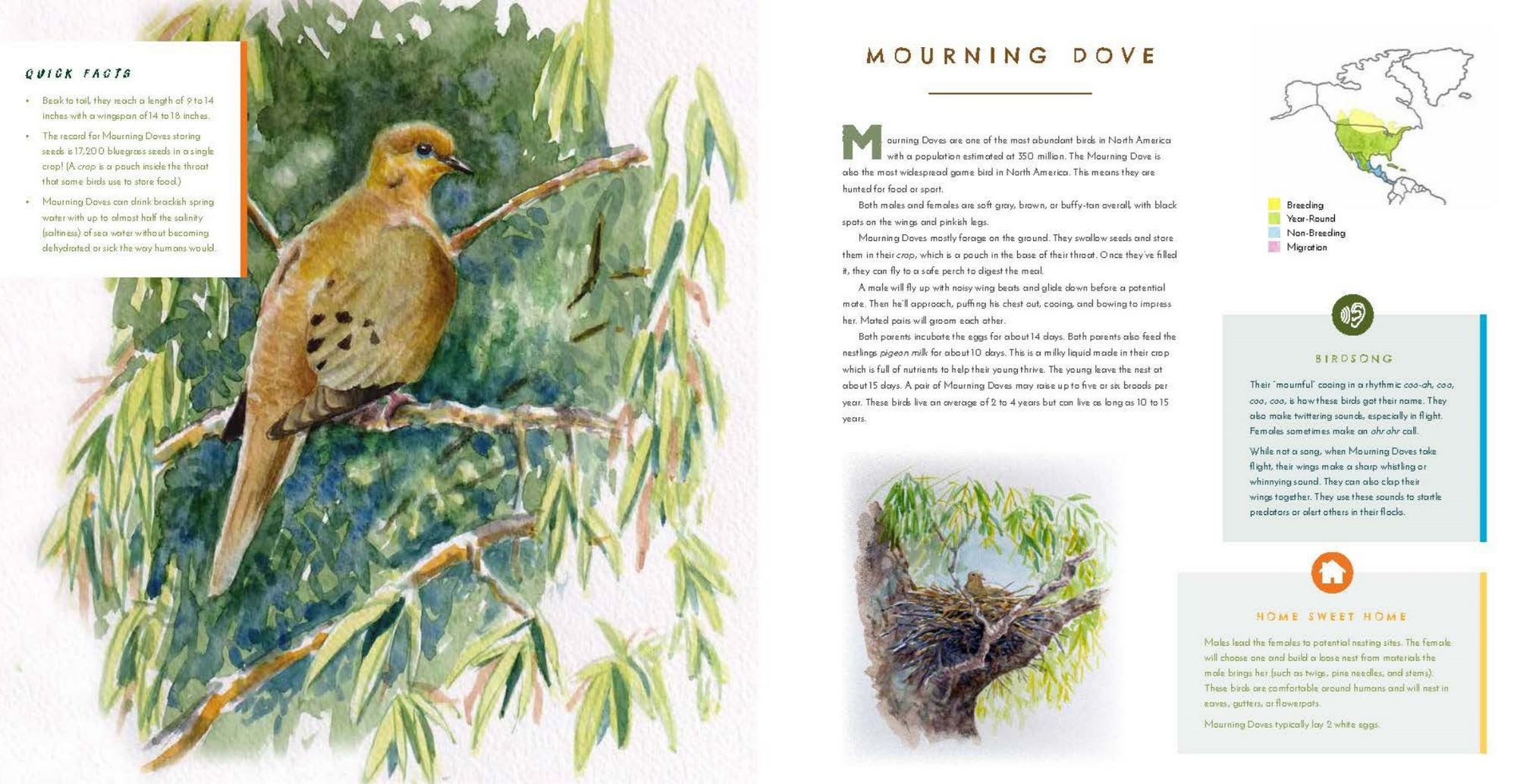 Hear Them Sing: A Kid's Book of North American Bird Songs and Calls