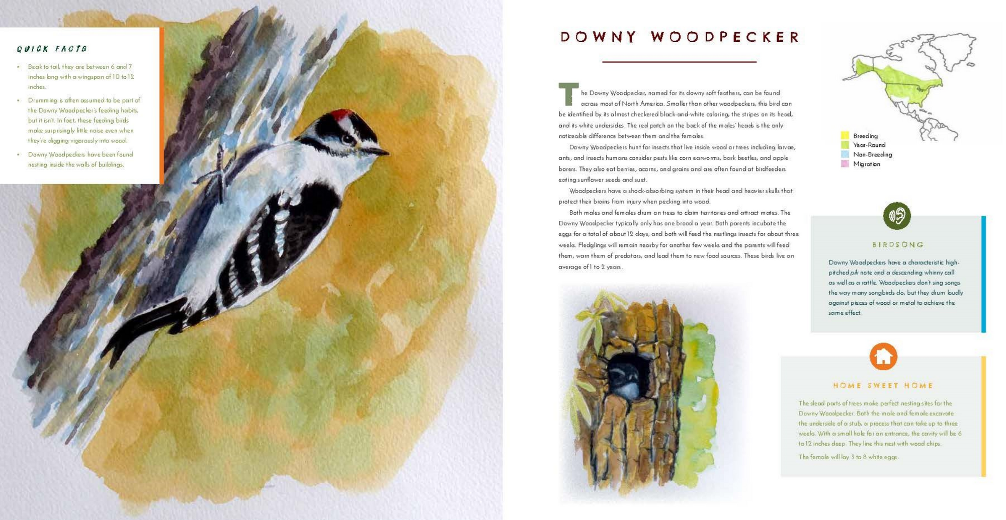 Hear Them Sing: A Kid's Book of North American Bird Songs and Calls