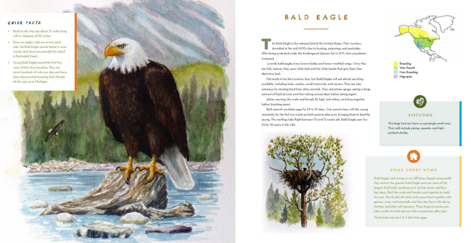 Hear Them Sing: A Kid's Book of North American Bird Songs and Calls