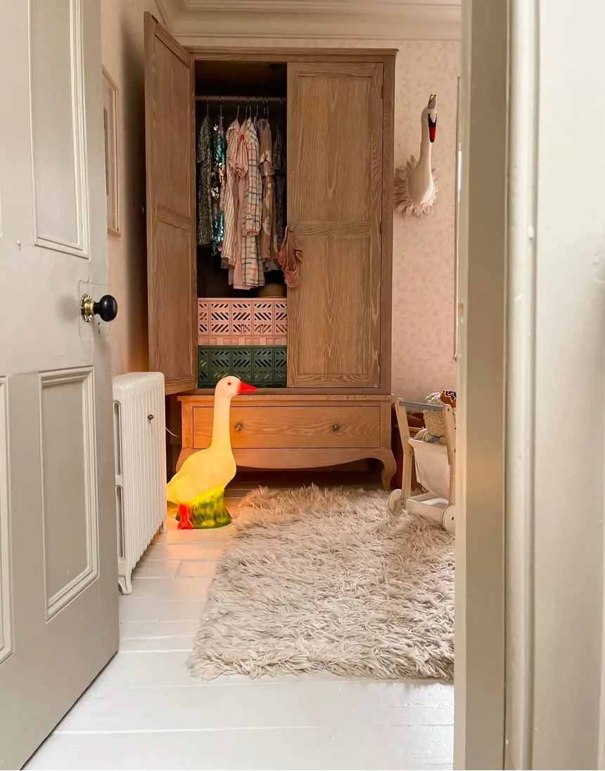 Closet with clothes and a duck light on a rug in a room.