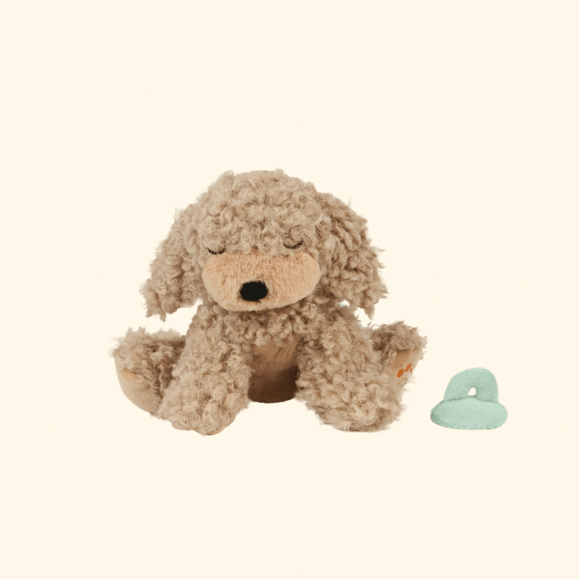 A beige curly-haired plush dog toy with closed eyes sits on a cream background, with a small mint green heart-shaped accessory placed to its right.