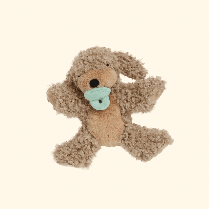 A small plush dog toy with curly light brown fur and a mint green pacifier, centered on a solid cream background.