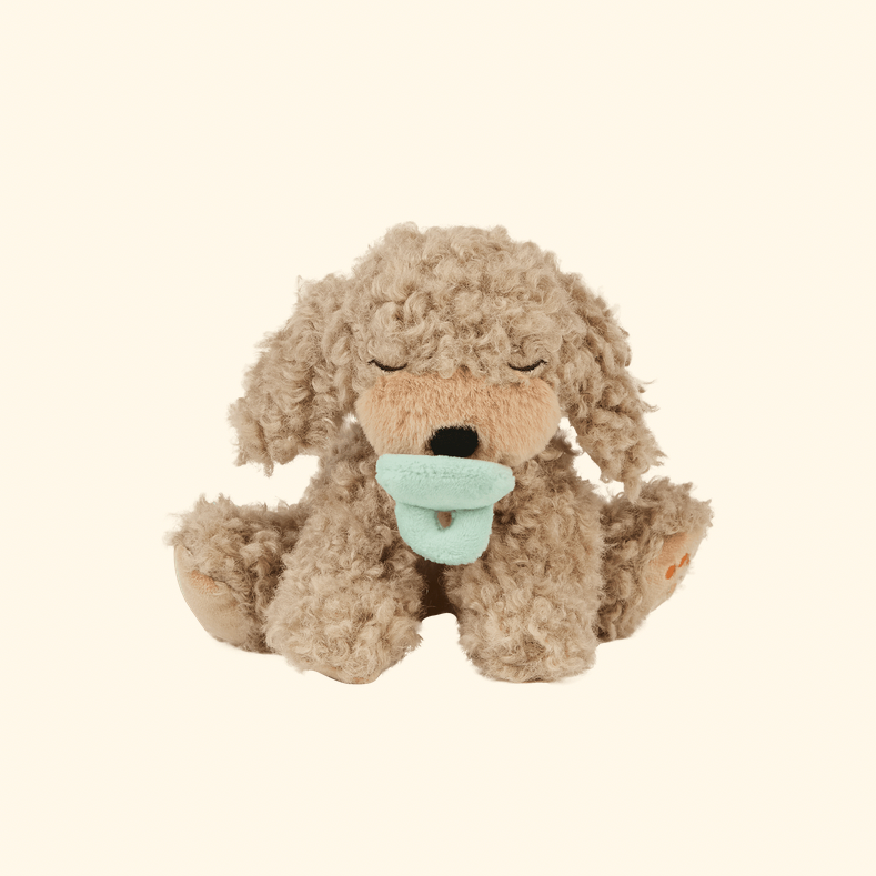 A plush dog toy with curly light brown fur, closed embroidered eyes, a small black nose, and a mint green pacifier, centered on a plain warm cream background.