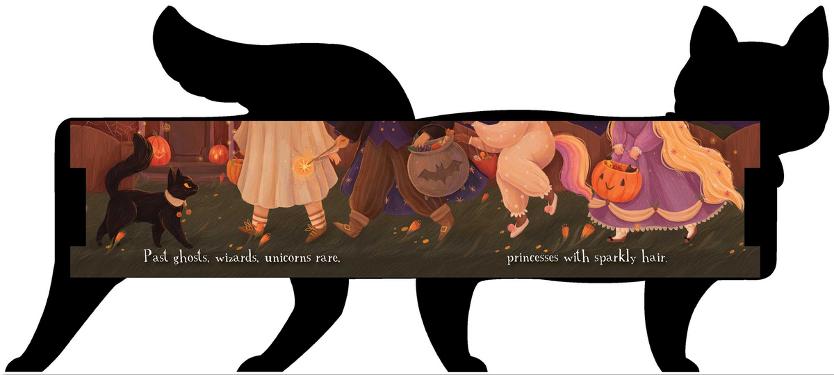 One Black Cat