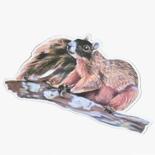 Woodland Animal Sticker for Nature Lovers