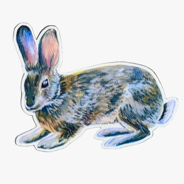 Woodland Animal Sticker for Nature Lovers