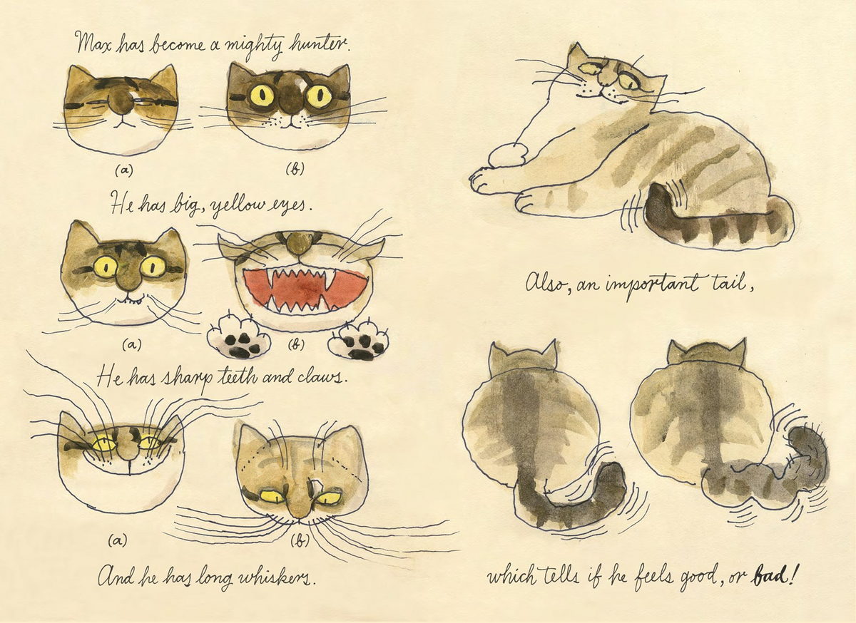 Illustration of a cat's face and body parts with text on a beige background