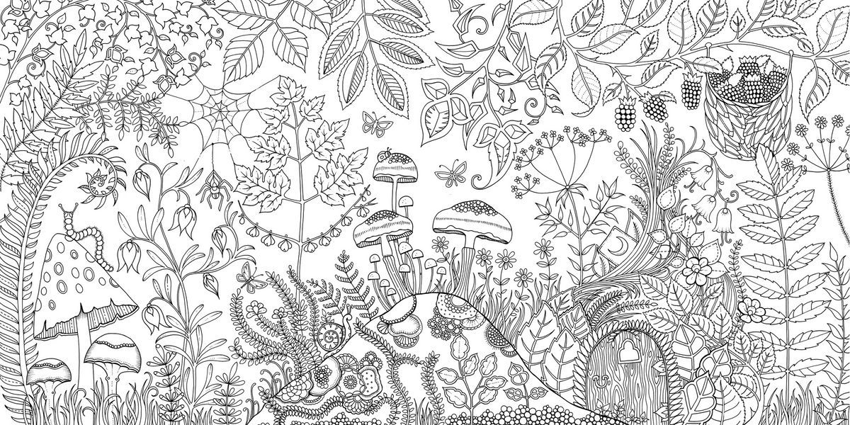 Enchanted Forest
