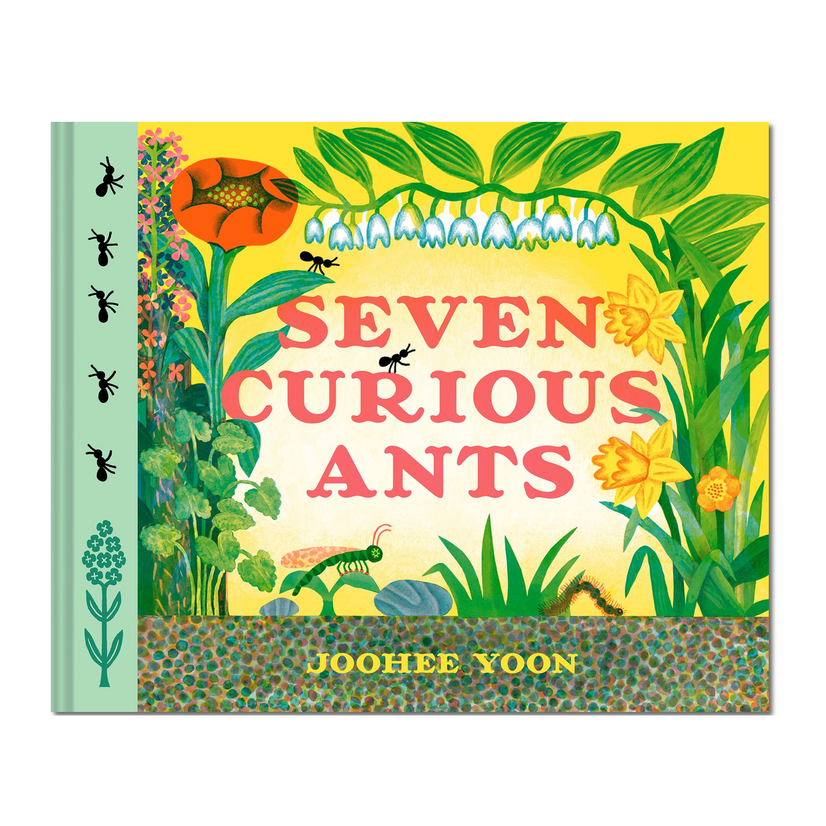 Seven Curious Ants