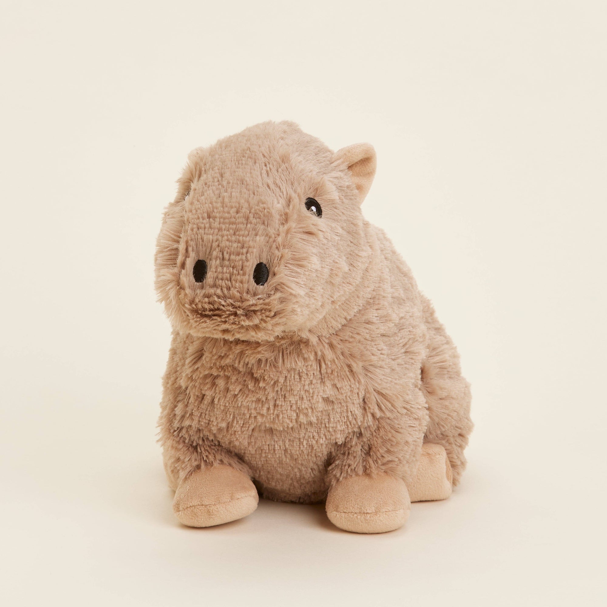Plush toy capybara on a beige background