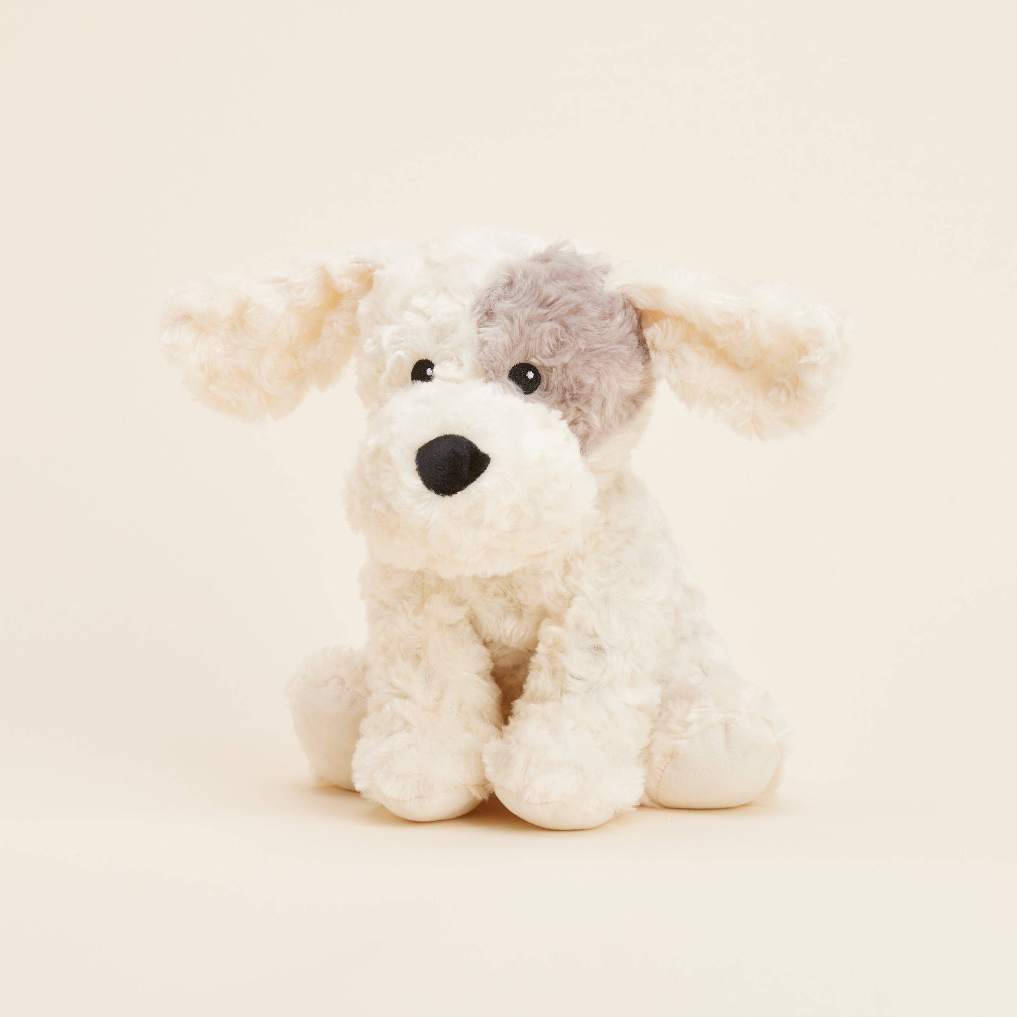 Stuffed dog toy with a neutral background