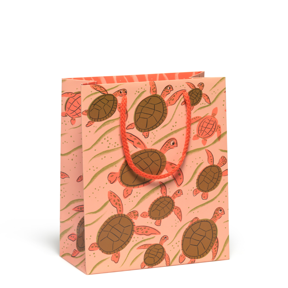 Turtle Family gift bag