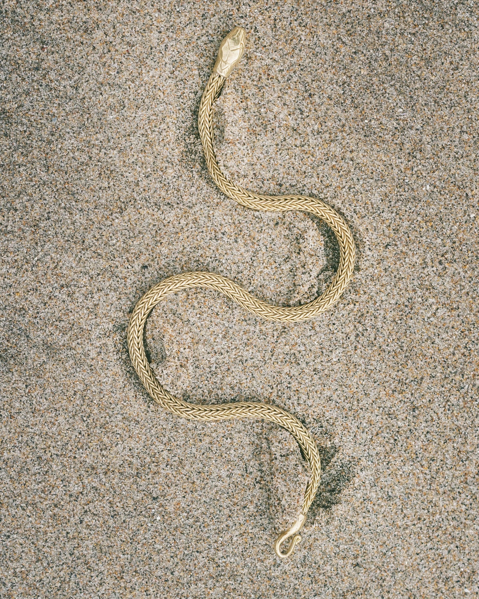 Coiled snake on sandy ground