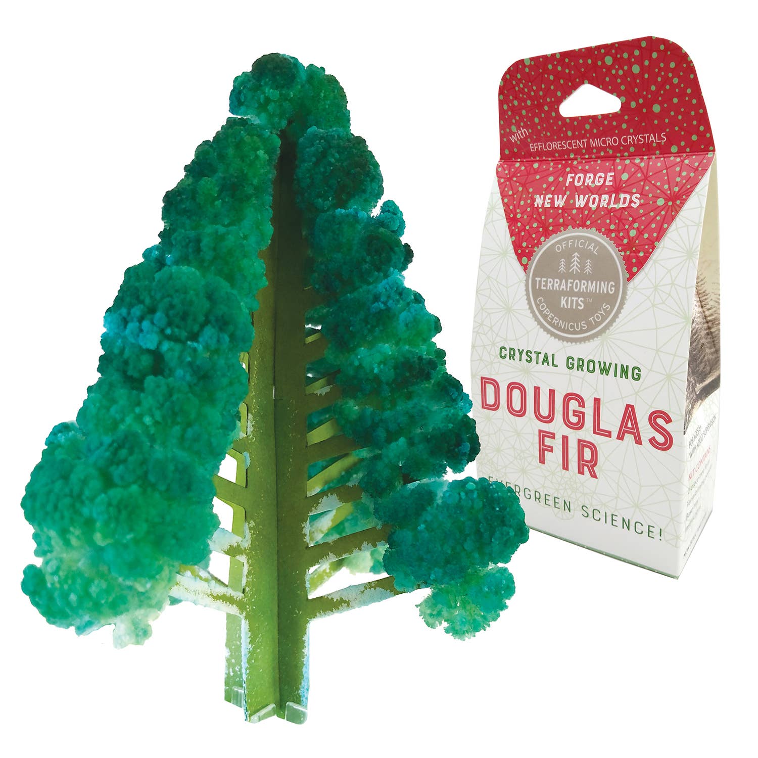 Crystal growing kit with a Douglas Fir tree model and packaging on a white background
