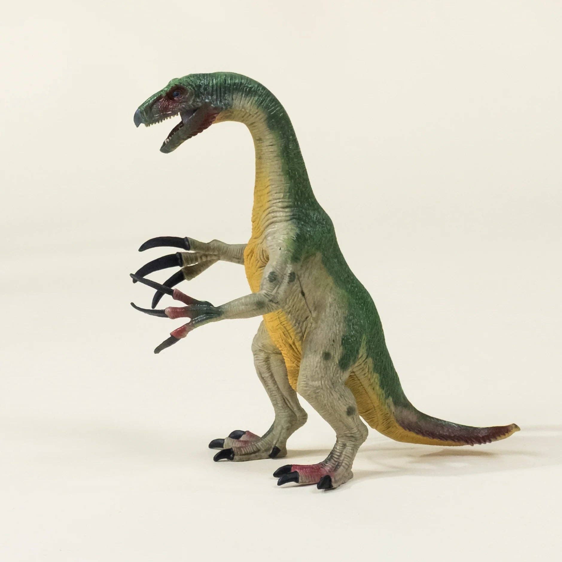 Therizinosaurus Dinosaur in a Collectible Box