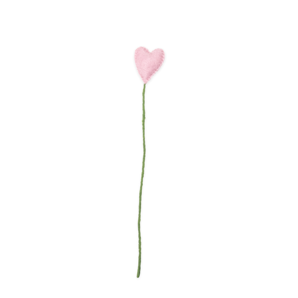 Pink heart-shaped flower on a white background
