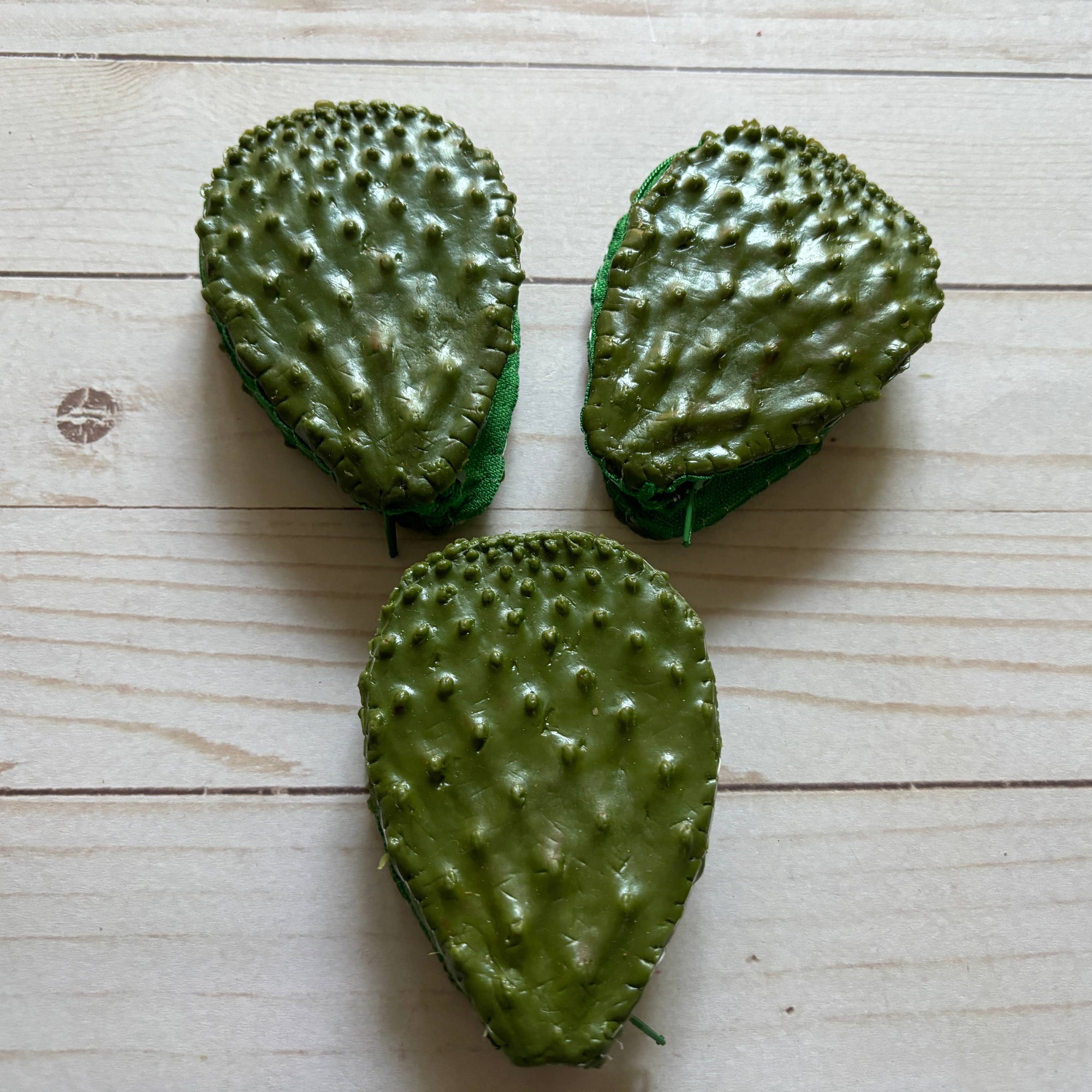 Coin Purse Nopal Cactus