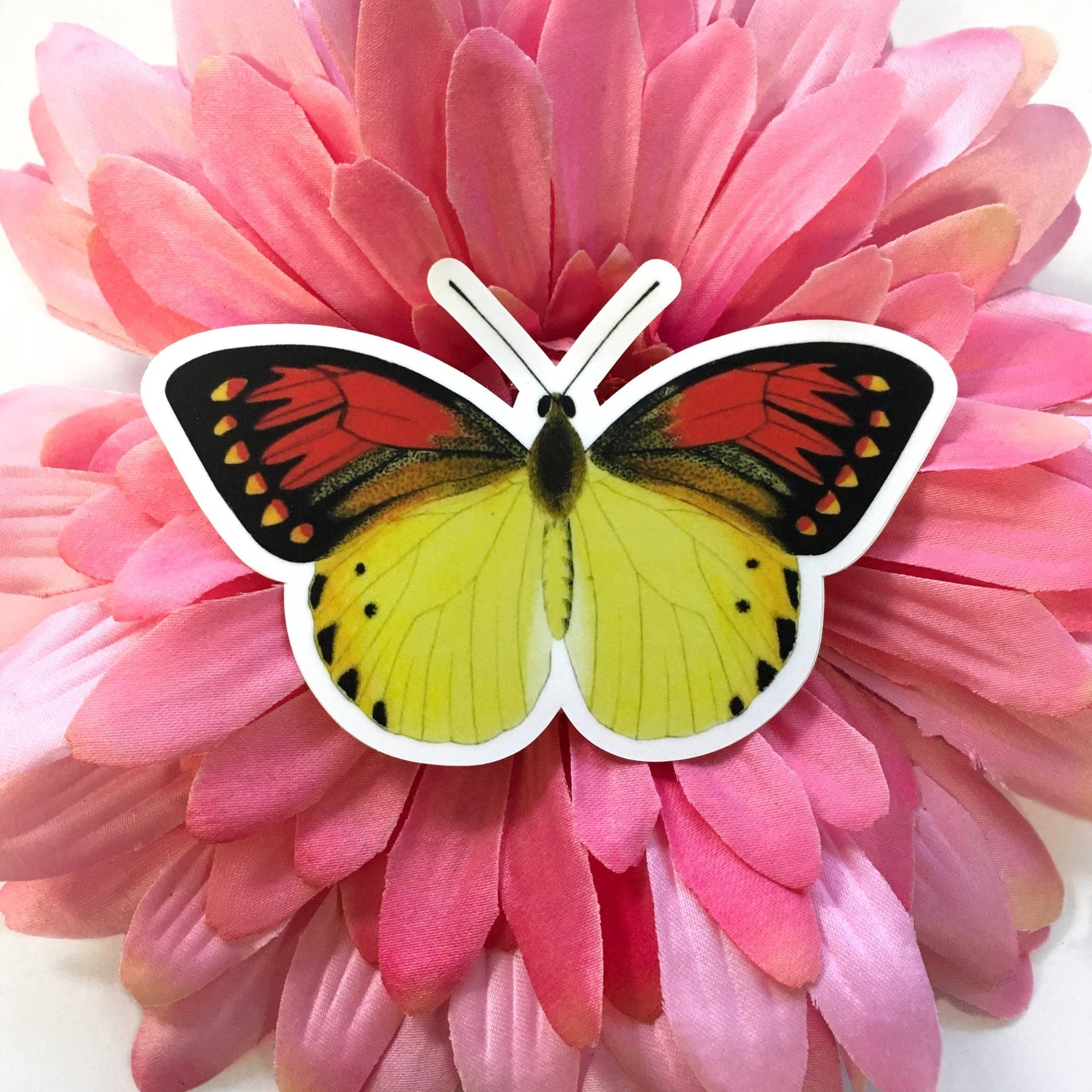 Butterfly sticker on a pink flower