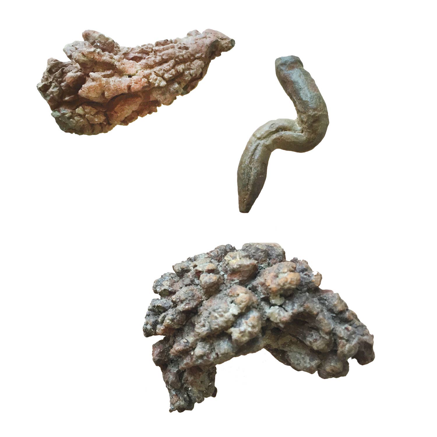 Three pieces of textured poop on a white background