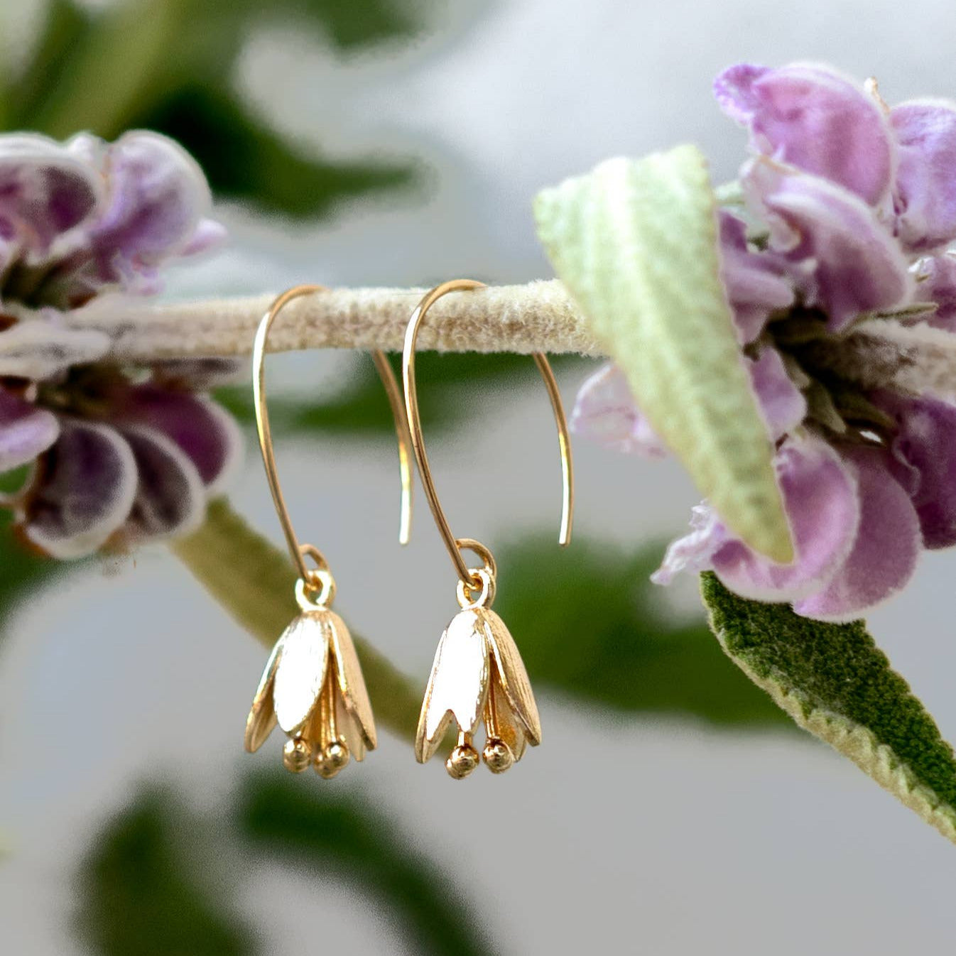 Courtenay Tulip Earrings