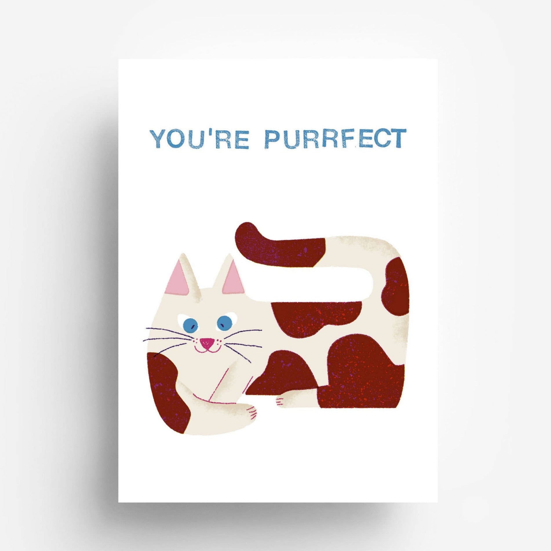 Purrfect Postcard -Barbara Dziadosz