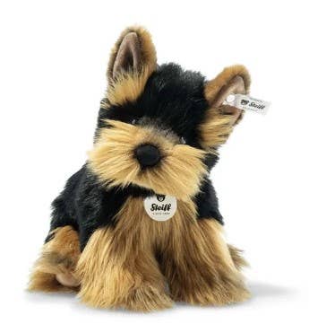 Herkules Yorkshire Terrier