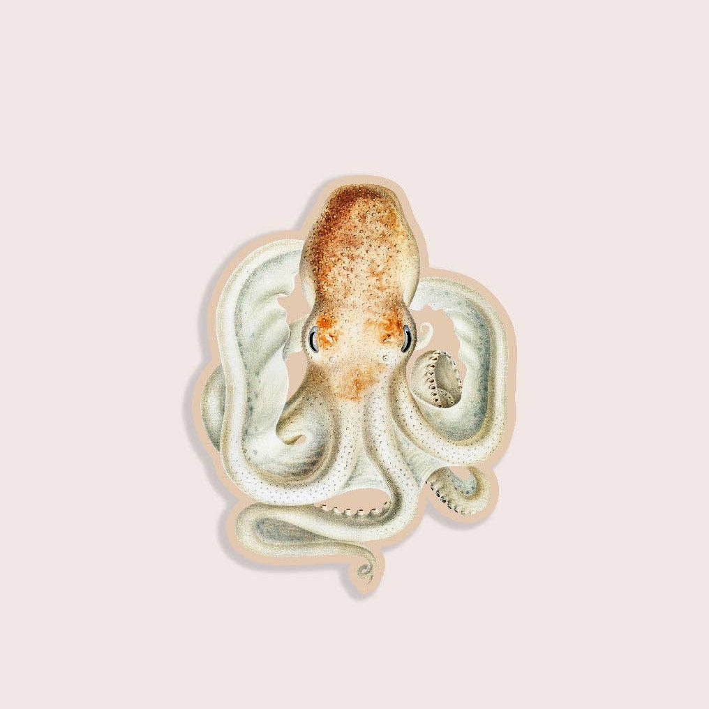 Decorative brooch shaped like an octopus on a light pink background
