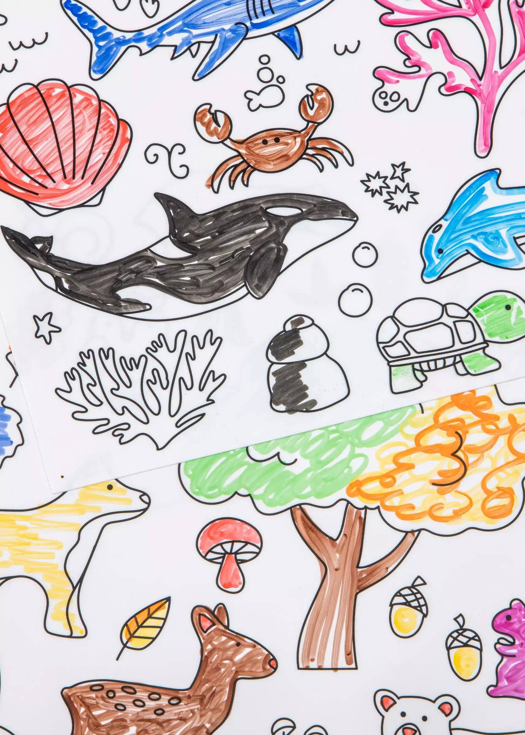 Set of 4 Silicone Washable Coloring Placemats & Markers