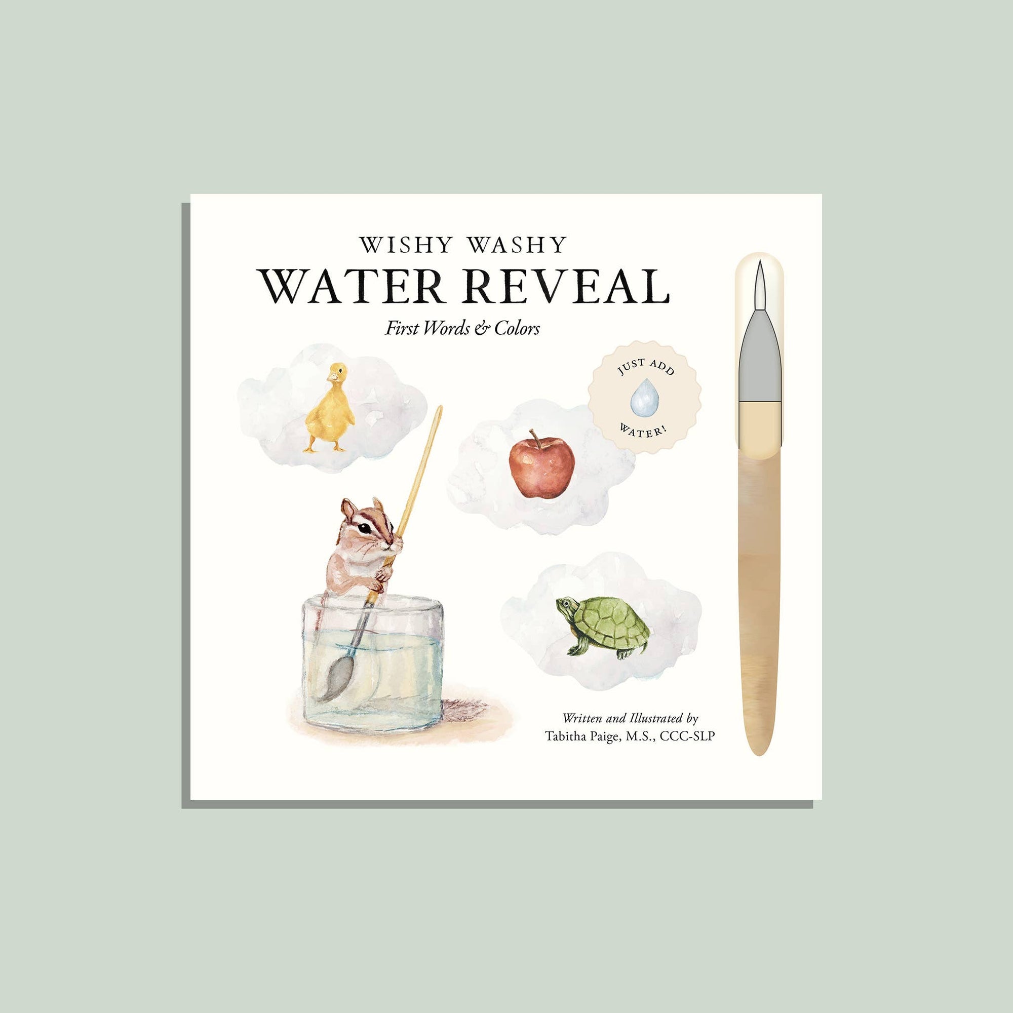 Book titled 'Wishy Washy Water Reveal' with illustrations on a light green background