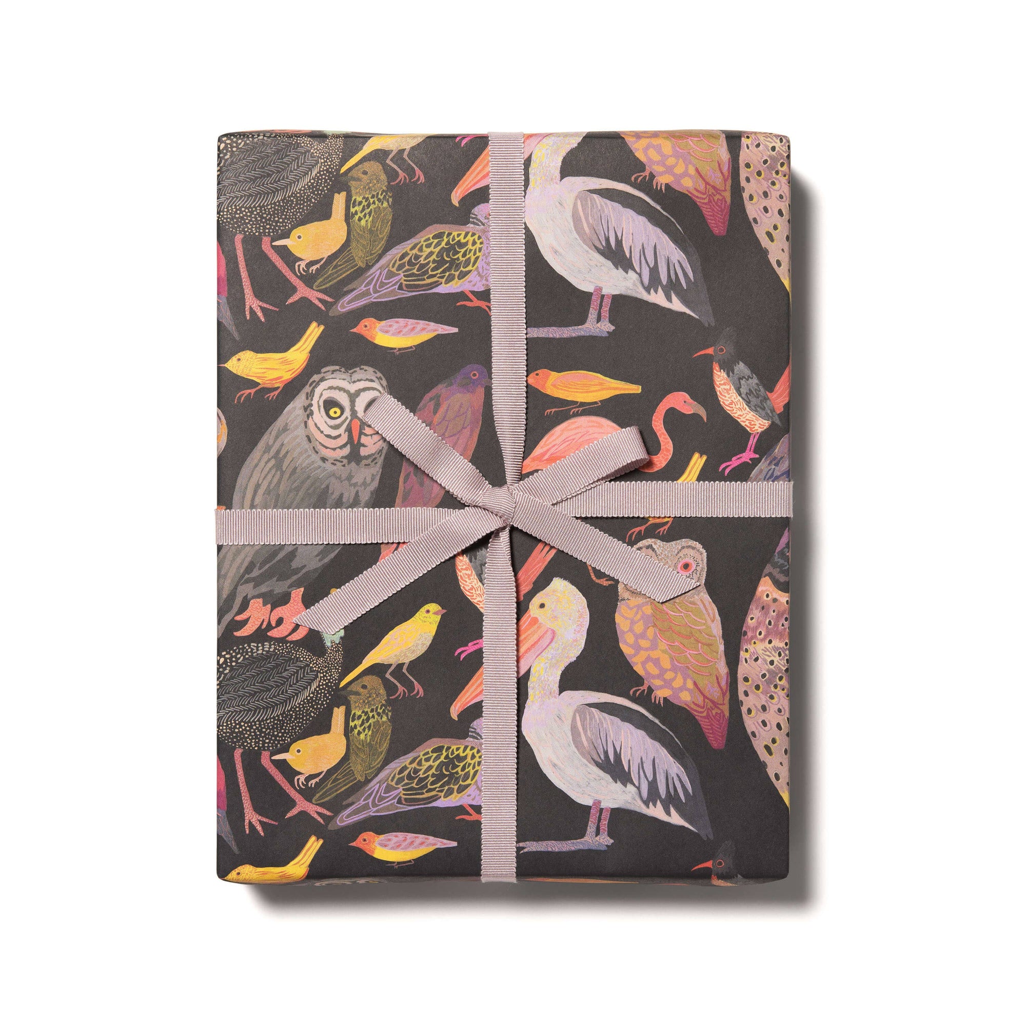 Gift box with bird pattern and ribbon on a white background