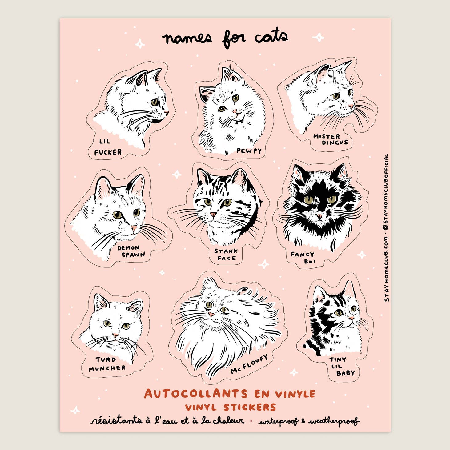 Sheet of vinyl stickers with cat illustrations and humorous names on a pink background