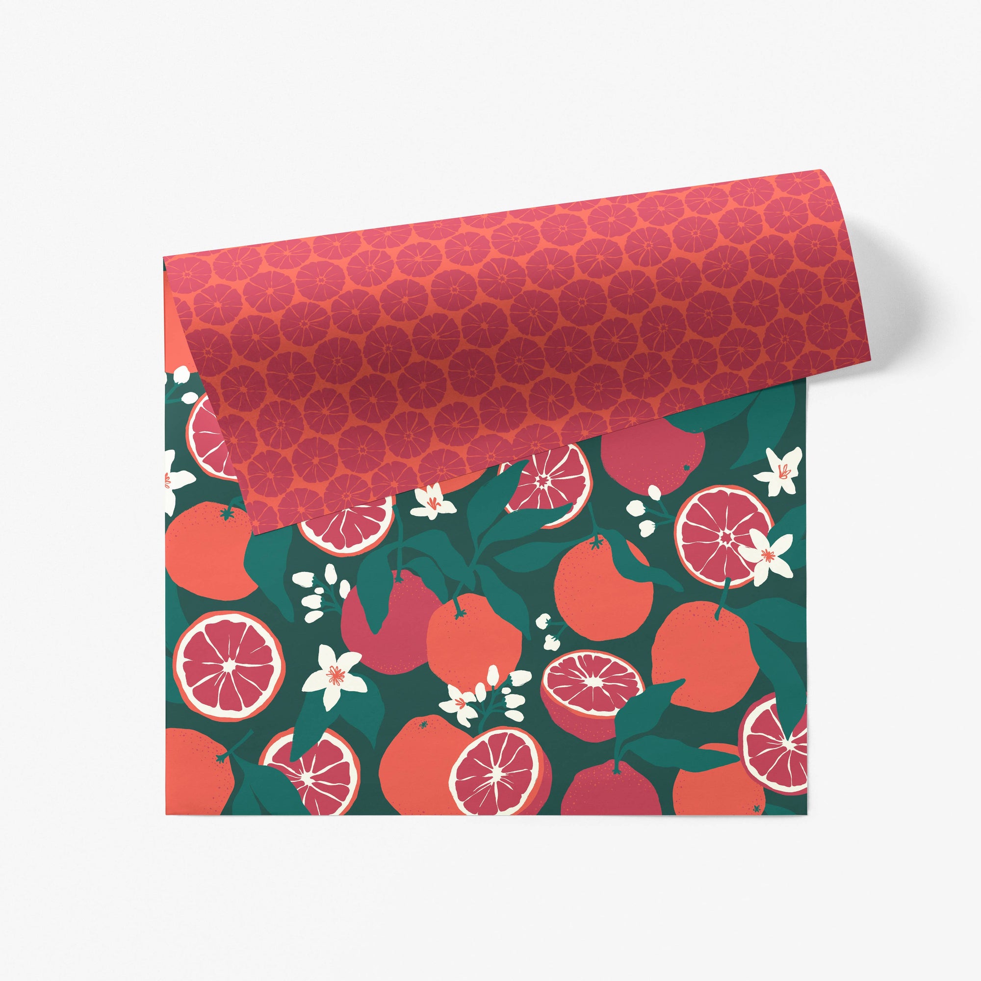 Winter Zest Gift Wrap - Roll of 3 Sheets