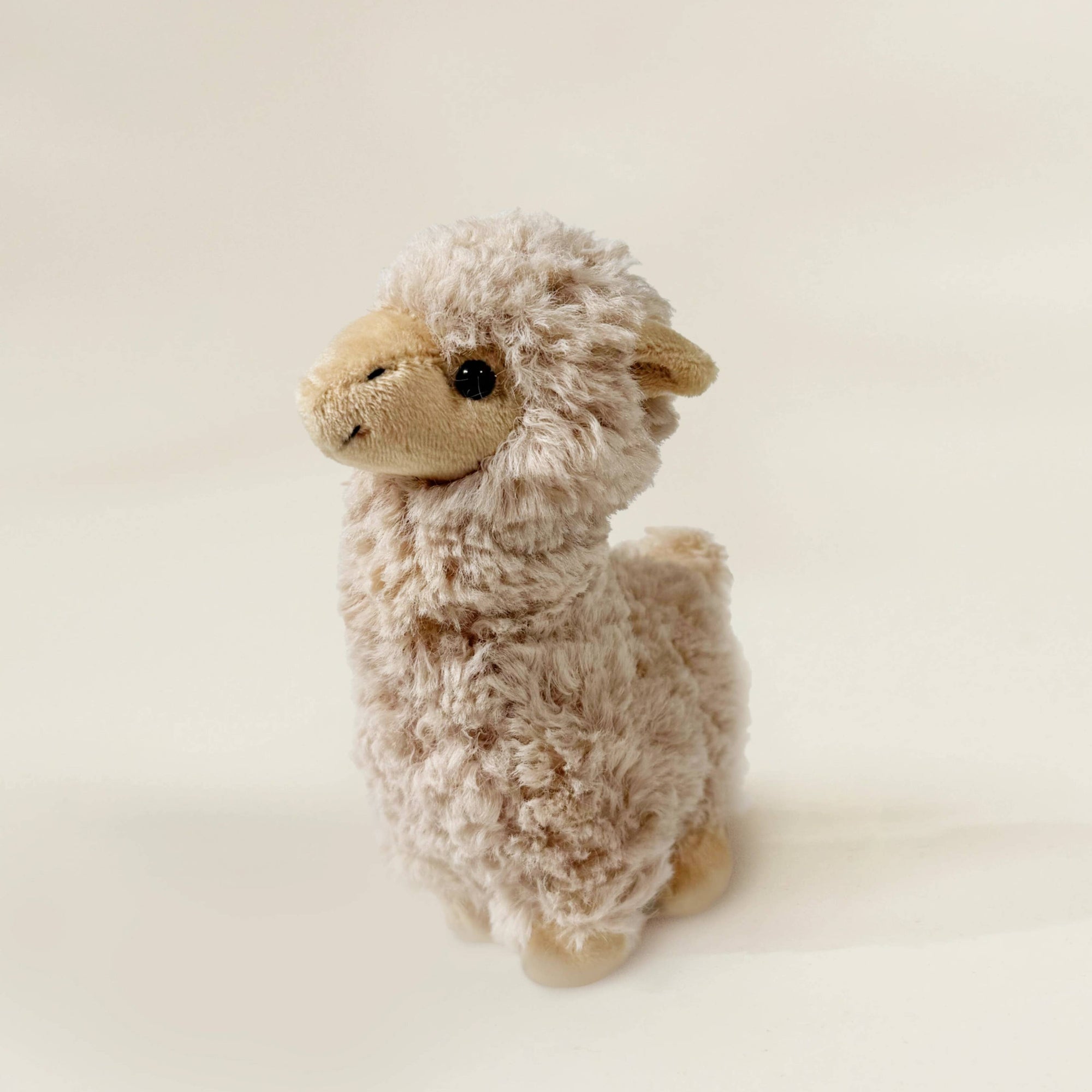 Plush toy llaa on a plain background